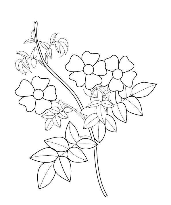 Flower colouring page free colouring book for children â monkey pen store