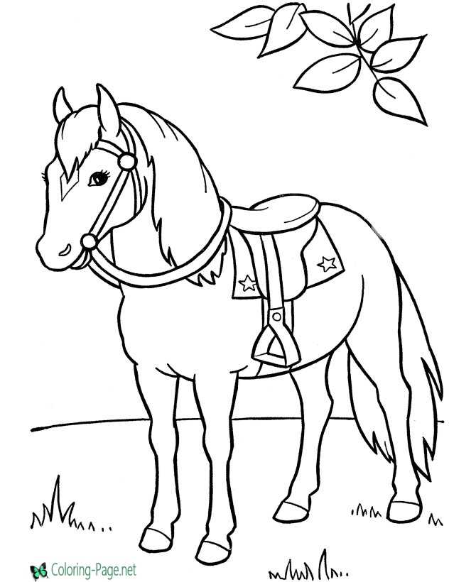 Horse coloring pages