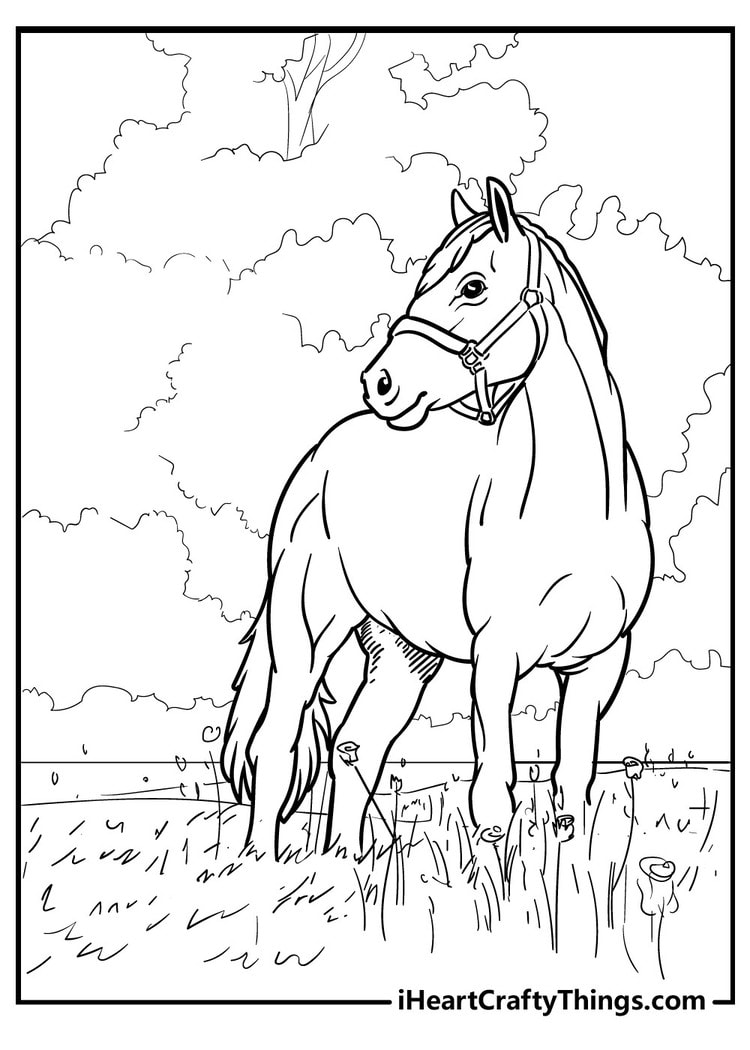 Horse coloring pages free printables