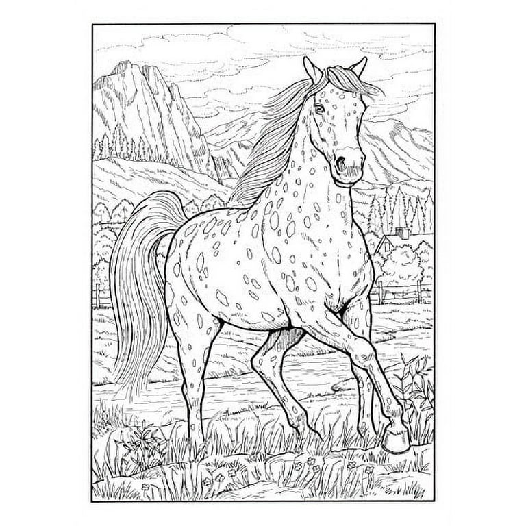 Adult coloring books animals creative haven great horses coloring book paperback