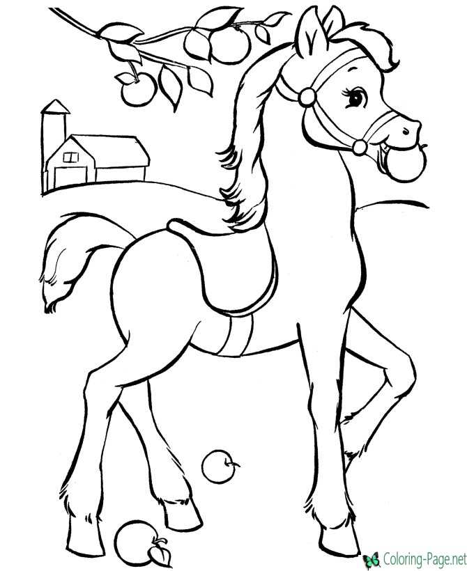 Horse coloring pages