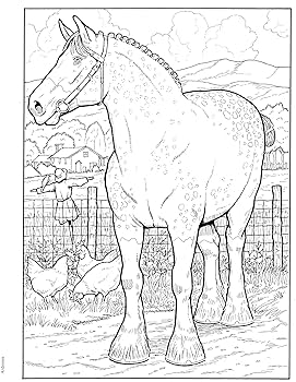 Adult coloring great horses coloring book adult coloring books animals green john books