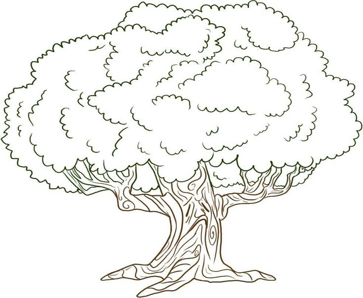 Free printable tree coloring pages for kids oak tree drawings tree drawing tree coloring page