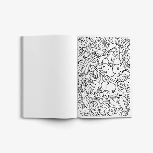 Coloring book for seniors nature designs vol