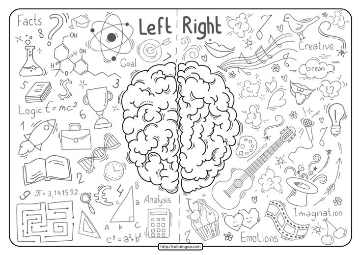 Free printable brain lobes pdf coloring pages coloring pages coloring books homeschool science