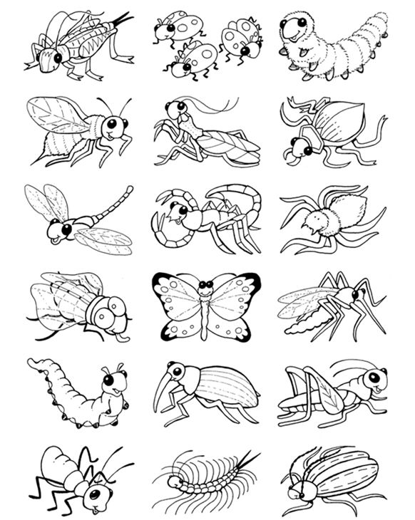 Wele to dover publications insect coloring pages bug coloring pages dover publications coloring