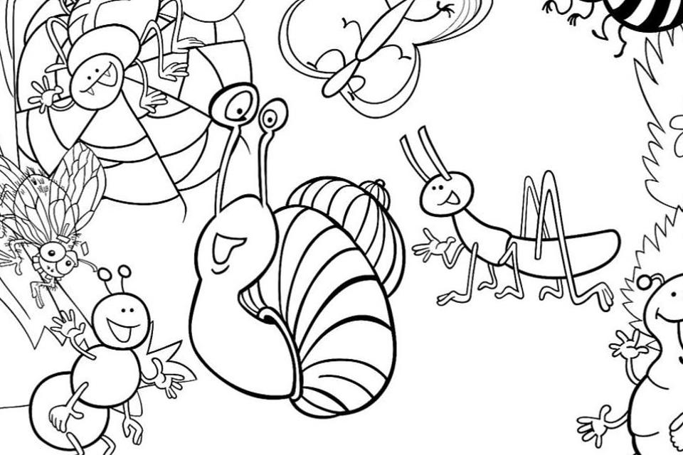 Insect coloring pages free fun printable coloring pages of bugs for kids to color printables mom