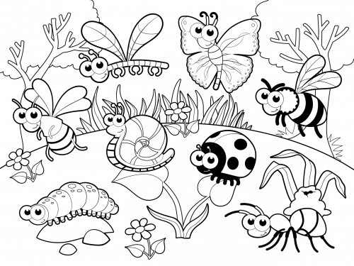 Detailed coloring page â bugs in our garden