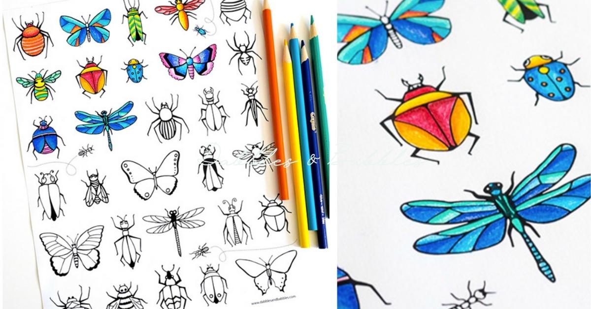 Bugs butterflies coloring page