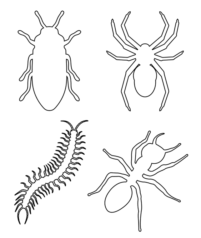 Insects and bugs coloring page