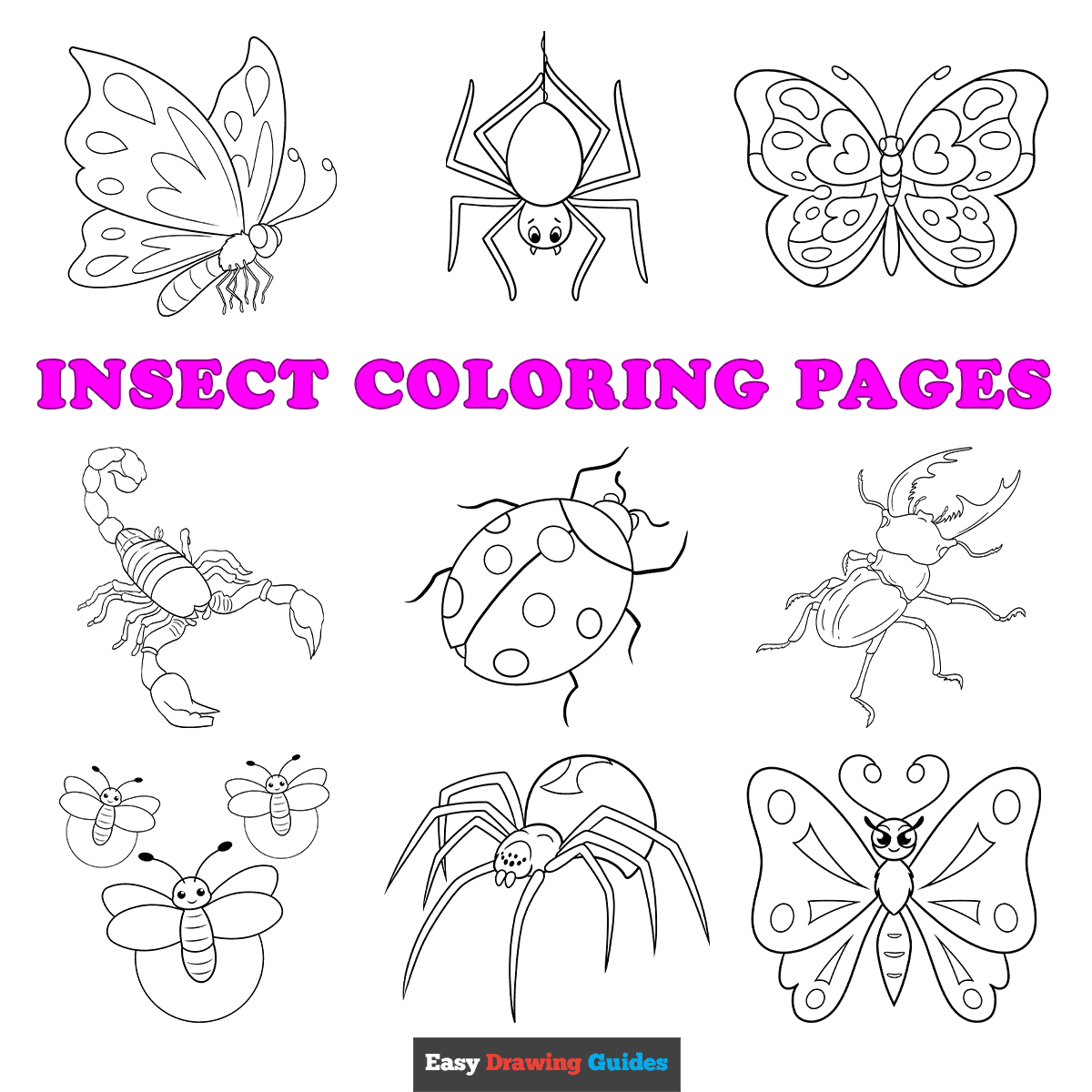 Free printable insect coloring pages for kids