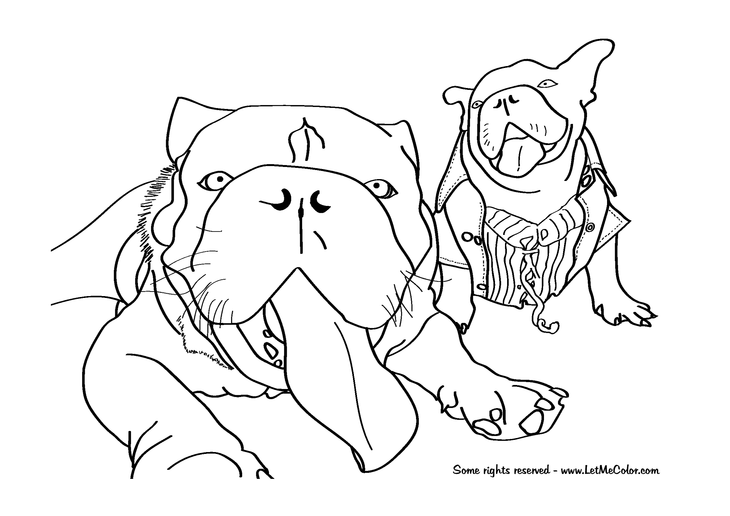 Bulldog coloring page