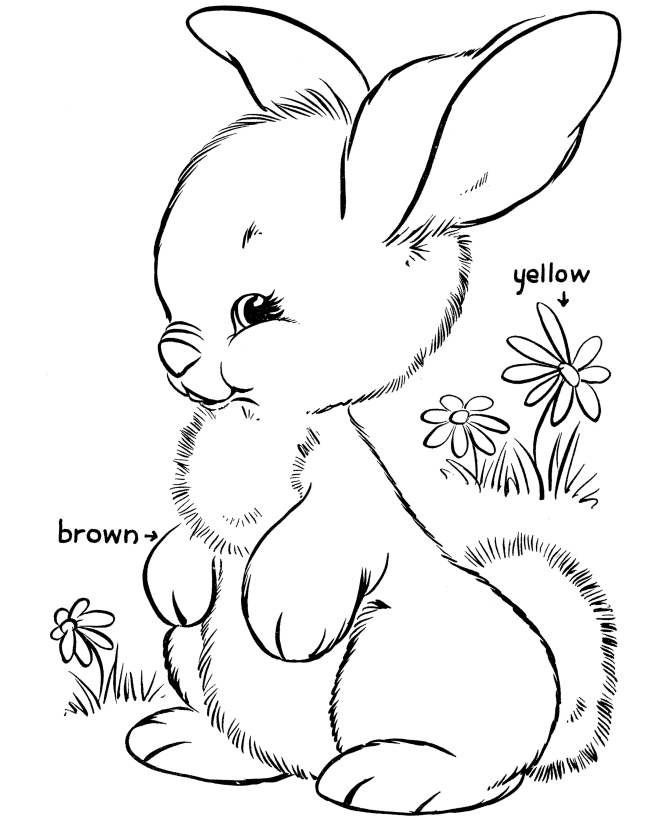 Easter bunny coloring pages bluebonkers