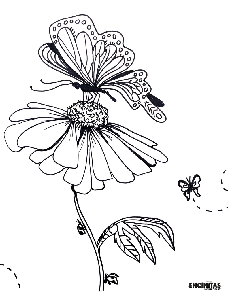 Butterfly on flower coloring page â encinitas house of art