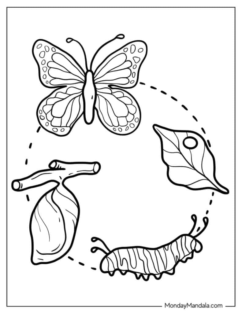 Caterpillar coloring pages free pdf printables