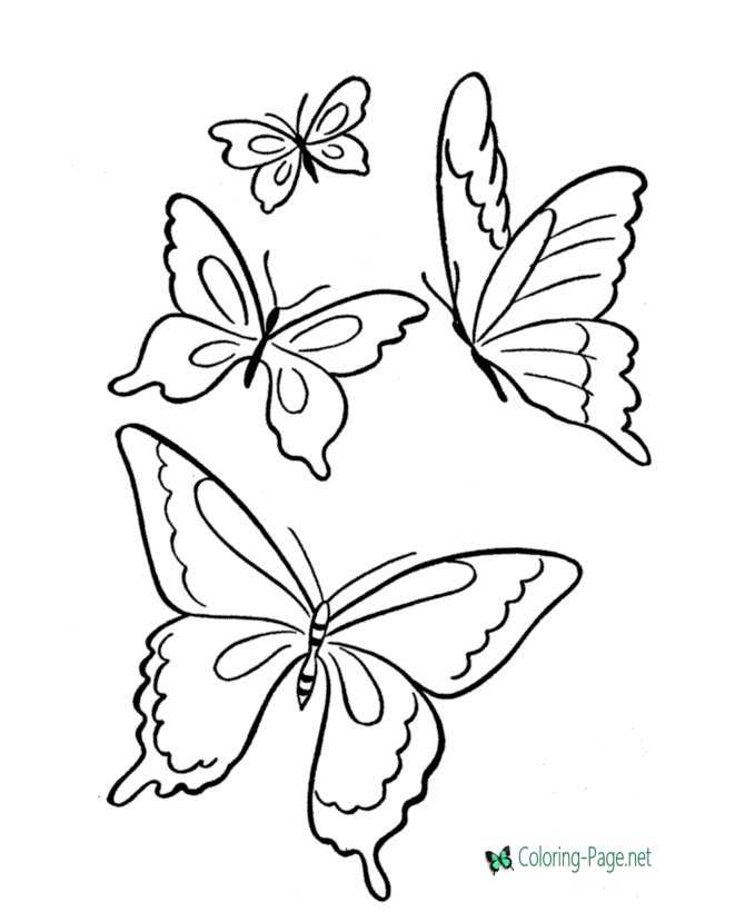 Butterfly coloring pages