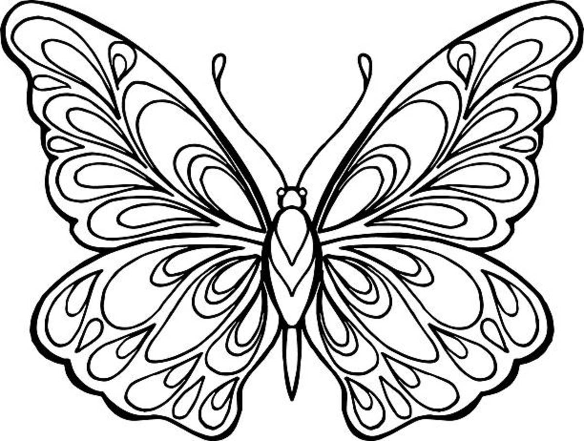 Butterfly coloring pages free printable sheets