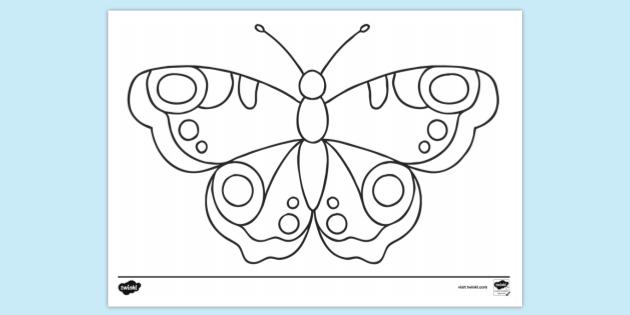 Free printable butterfly colouring page colouring sheets