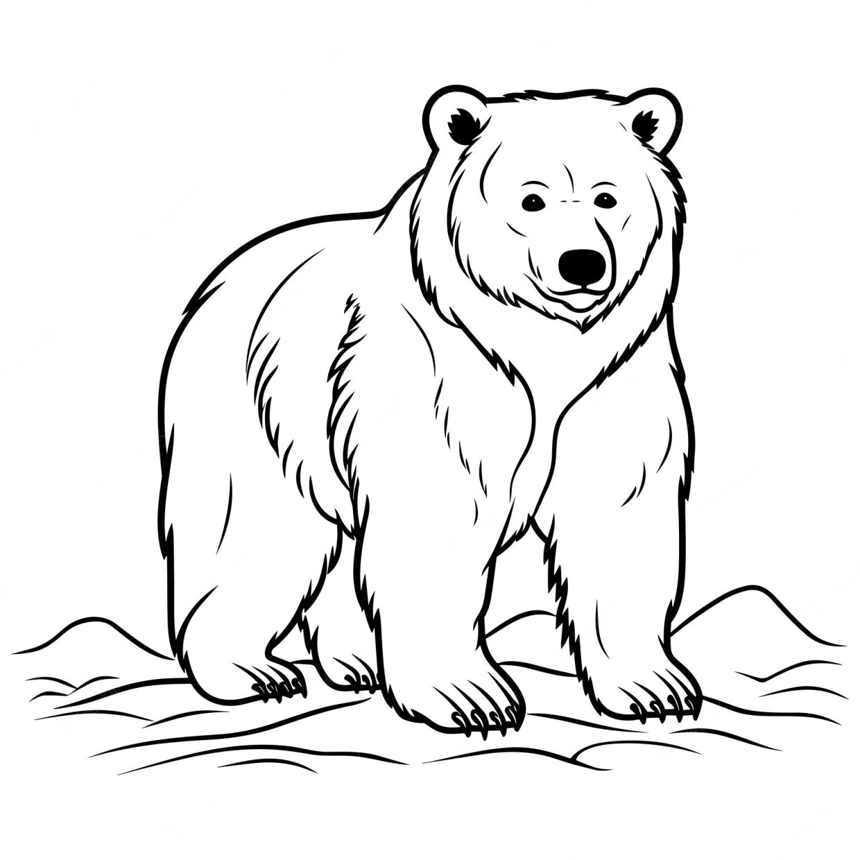 Explore the wild with free printable bear coloring pages