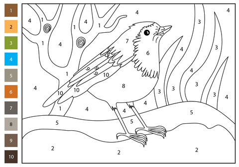 Robin color by number free printable coloring pages