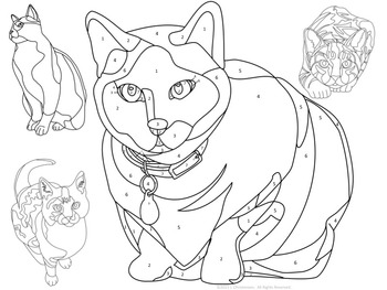 Make your own color by number cats editable by utahroots tpt