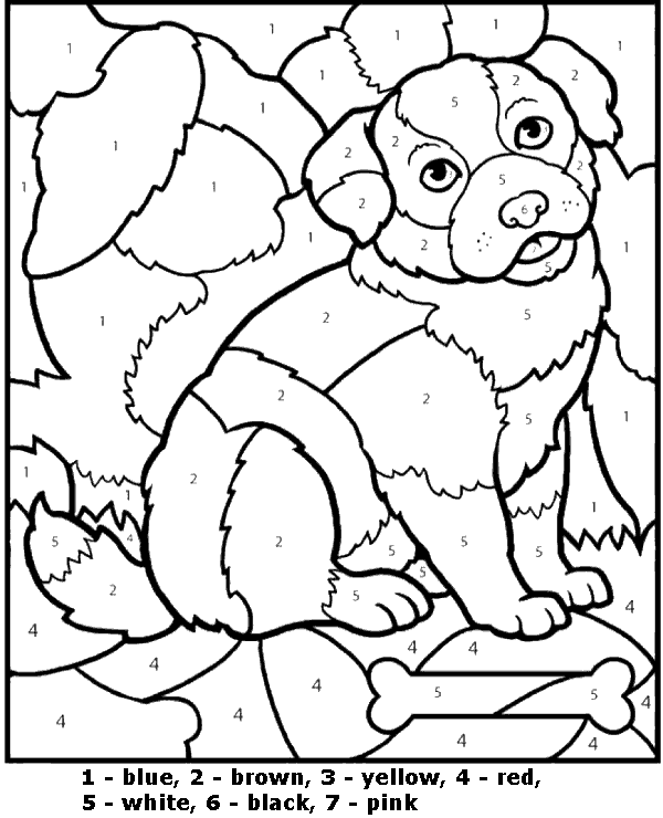 A dog to color by number