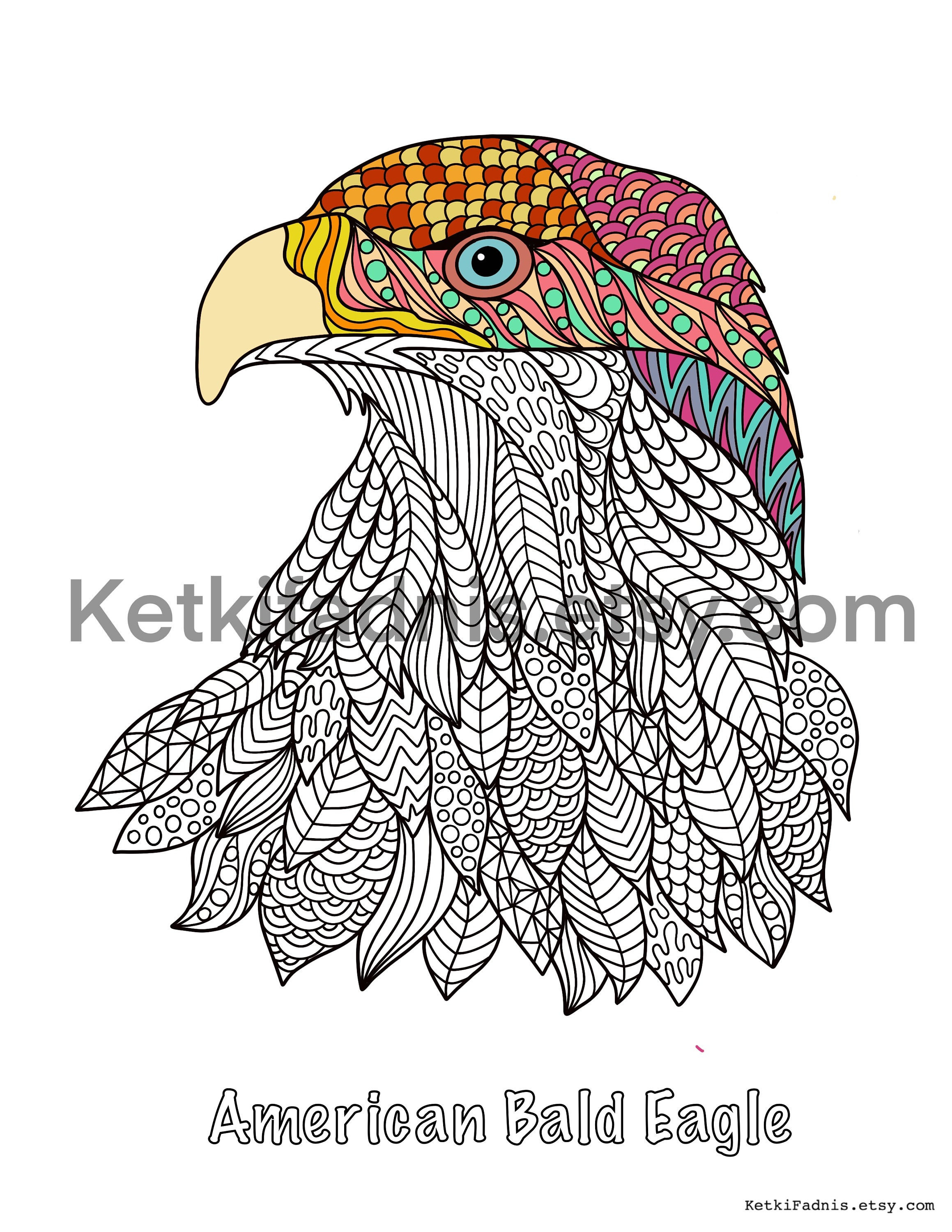 American bald eagle coloring page bird coloring page pdf download digital download coloring page