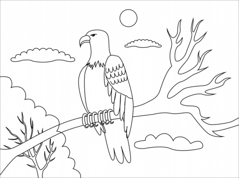 Coloring pages free printable eagle coloring page