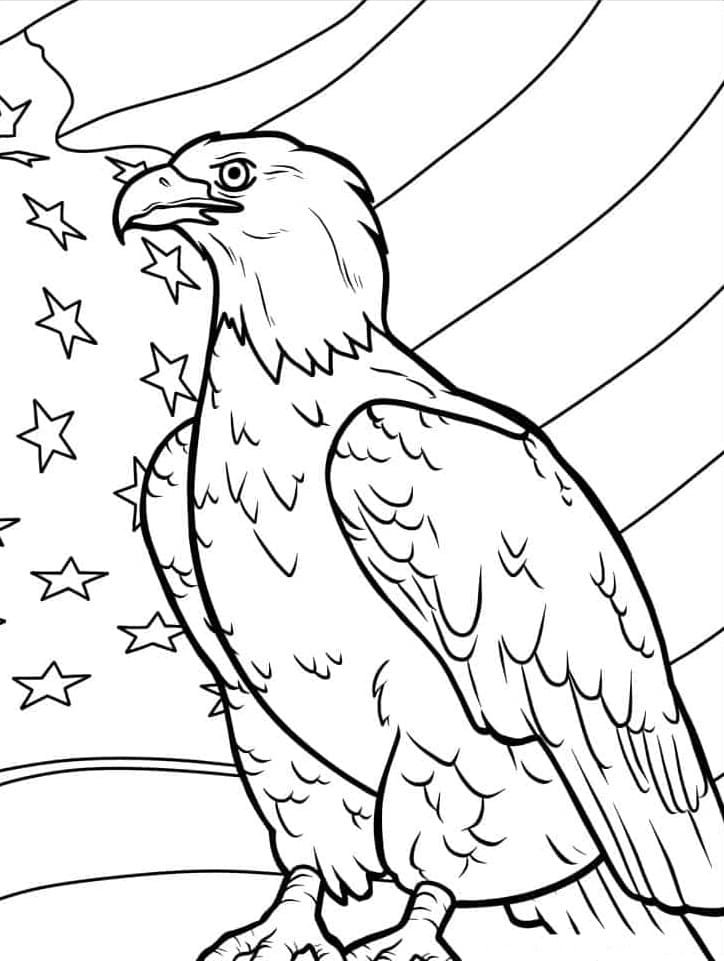 Bald eagle coloring pages printable for free download