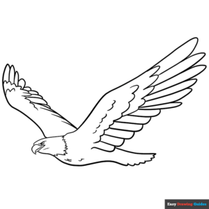 Eagle coloring page easy drawing guides