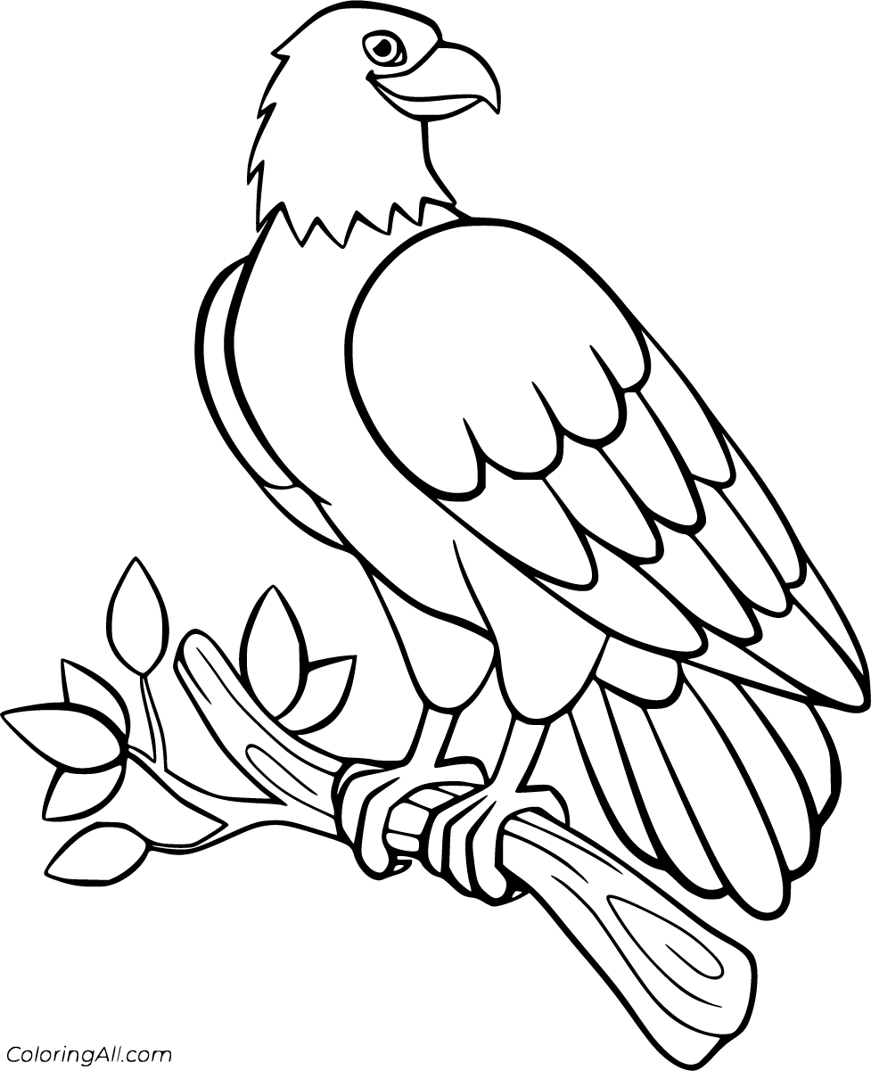 Eagle coloring pages