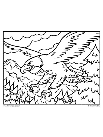 Bald eagle coloring page â tims printables