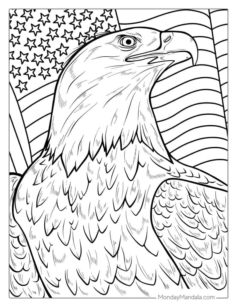 Bald eagle coloring pages free pdf printables