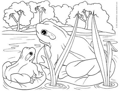 Frog coloring page â