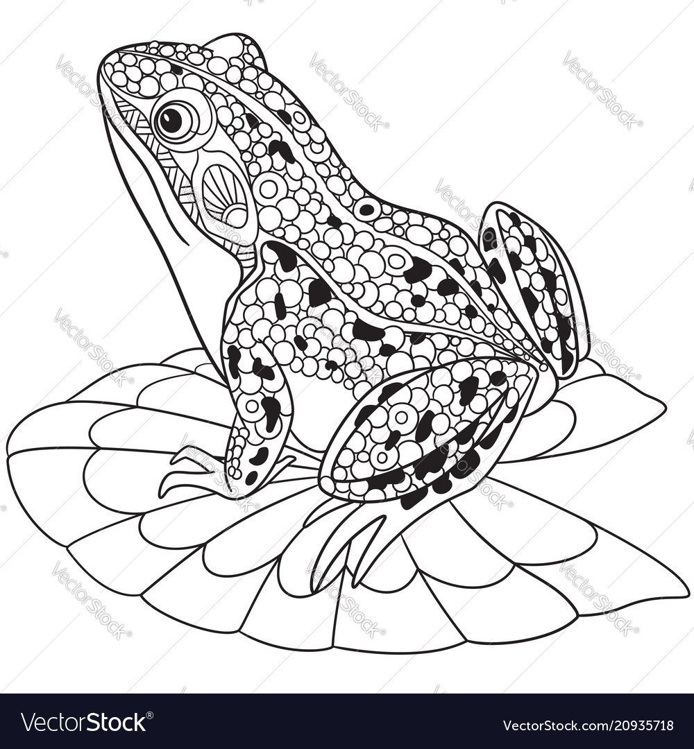 Frog coloring page royalty free vector image