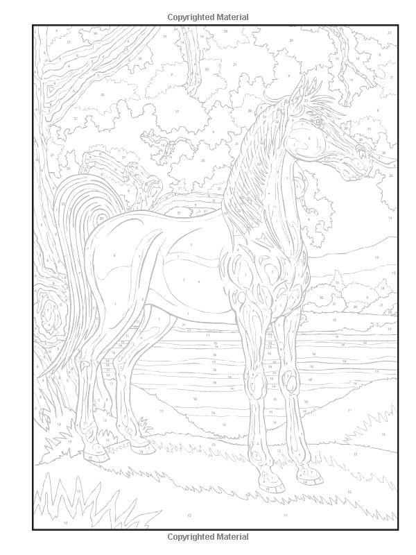 Colorful horse coloring book