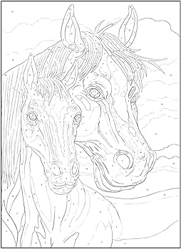 Creative haven horses color by number coloring book toufexis george books