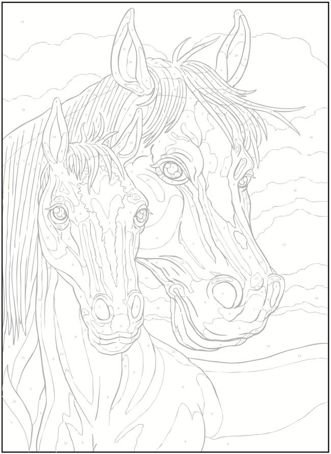 Wele to dover publications horse coloring pages horse coloring animal coloring pages