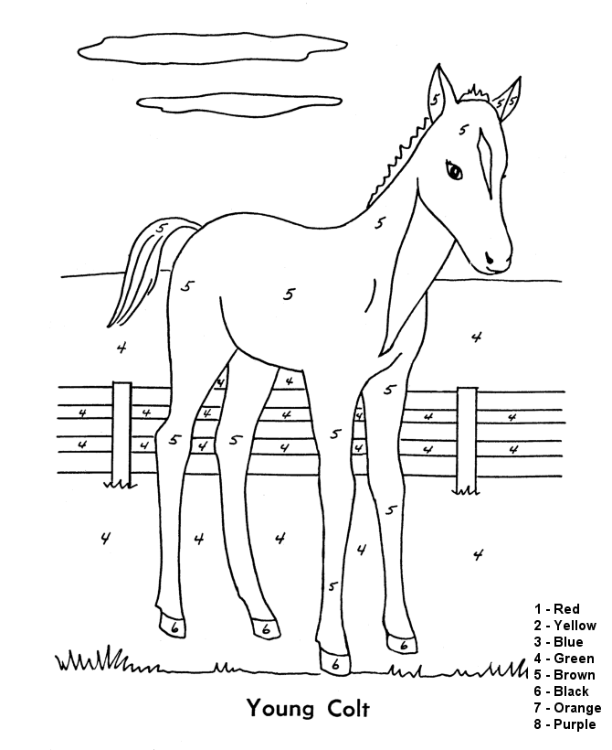 Number coloring horse horse coloring pages color by numbers horse coloring