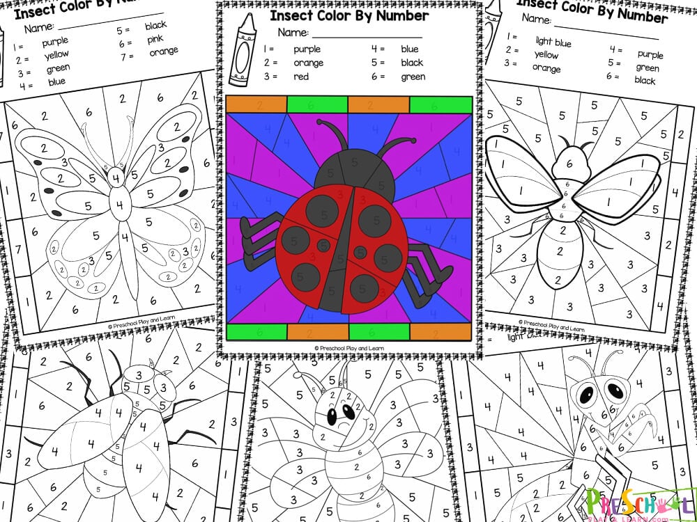Ð free insect color by number bug worksheets