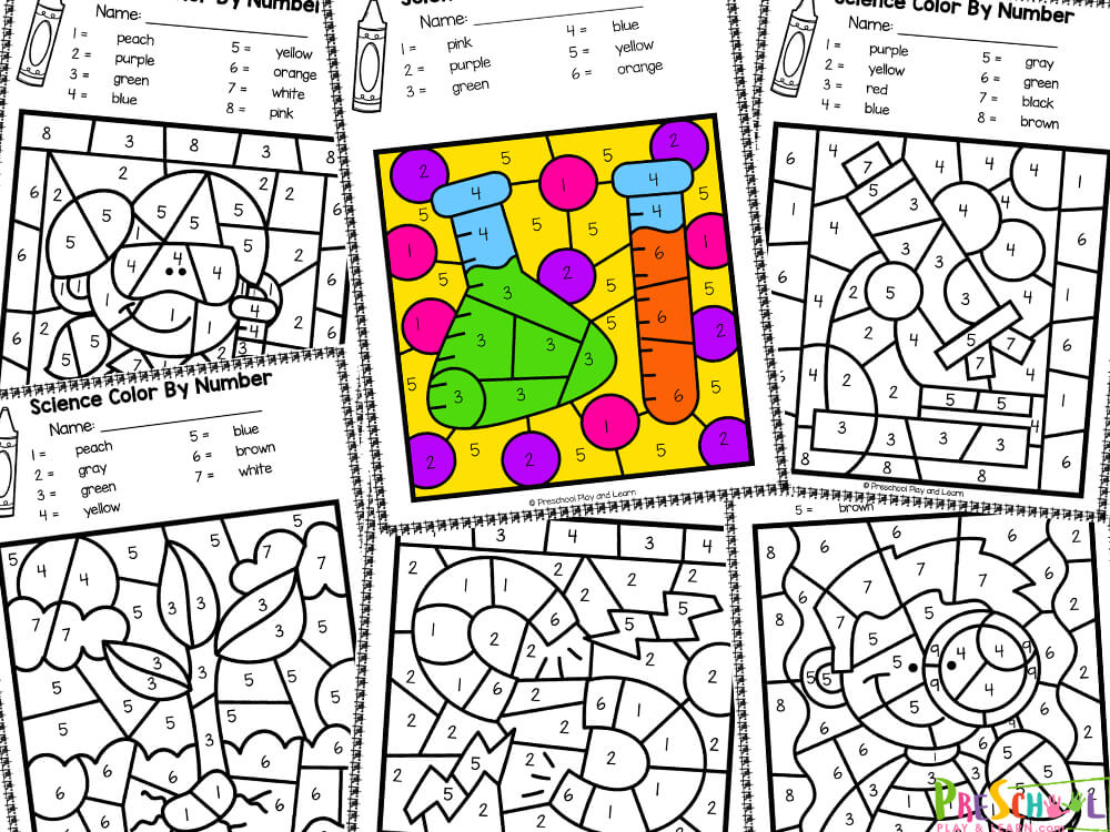 Ðª free printable science color by number worksheets