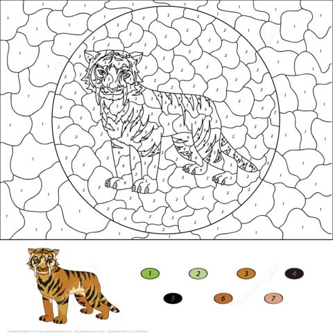 Saber toothed tiger color by number coloring page free printable coloring pages free printable coloring pages coloring pages printable coloring pages