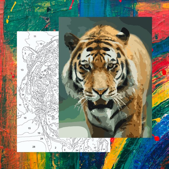 Tiger paint by number tiger coloring by number nature coloring sheet