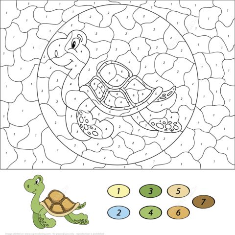 Sea turtle color by number coloring page turtle coloring pages coloring pages free printable coloring pages