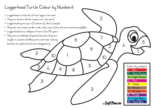 Free printable loggerhead colour by numbers pre school color by numbers color by number printable printables free kids coloring