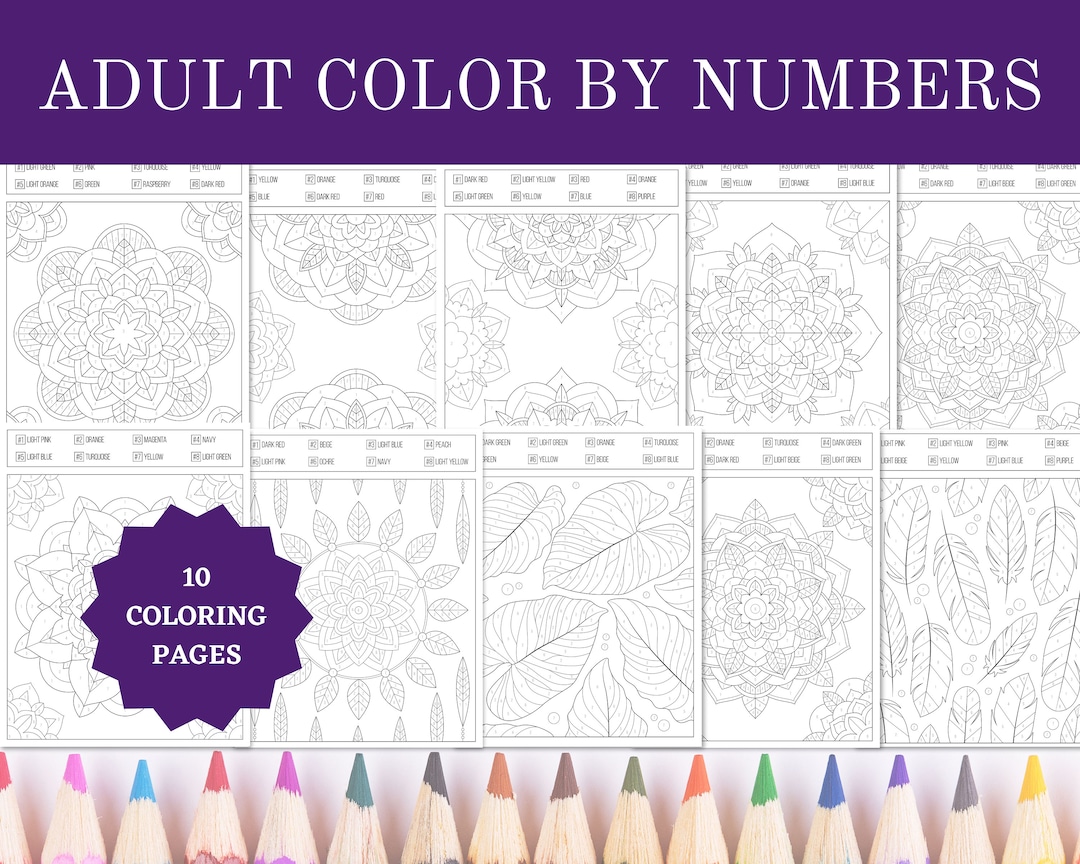 Printable adult color by numbers coloring pages x sheets digital instant pdf download