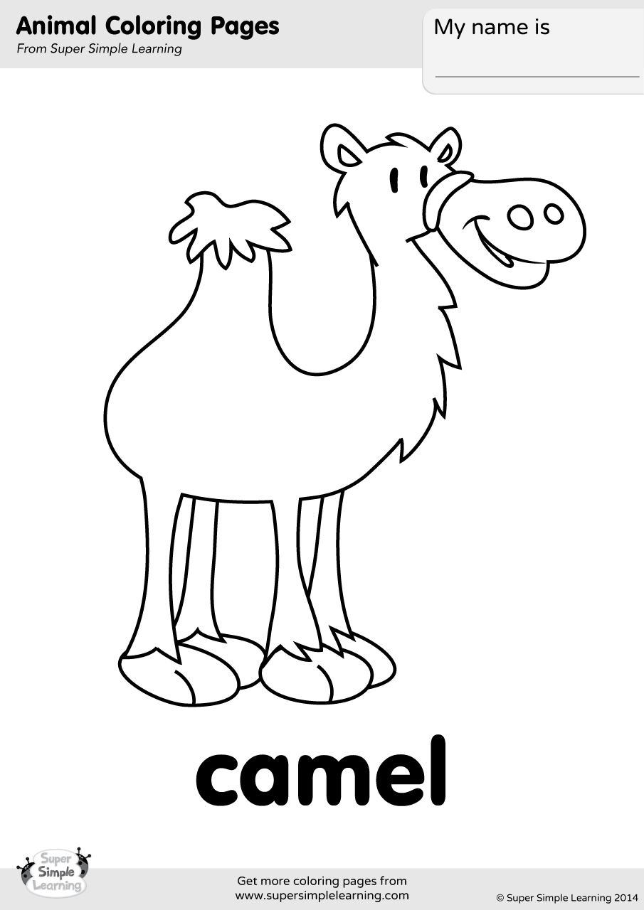 Camel coloring page