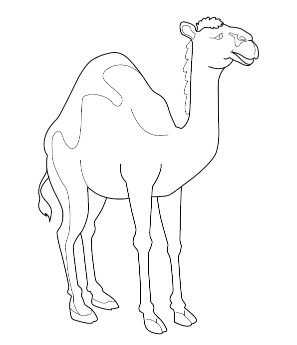 Camel colouring page free colouring book for children â monkey pen store