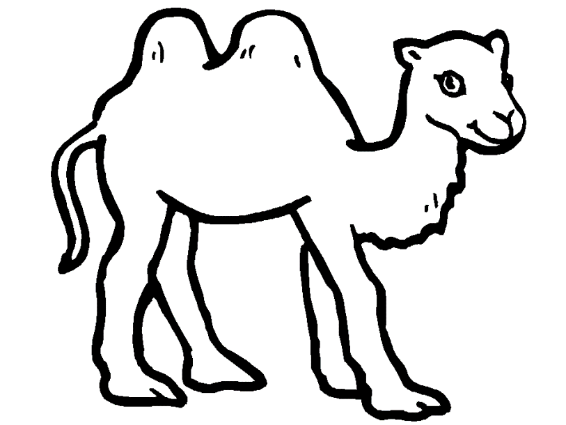 Camel coloring pages for students horse coloring pages animal coloring pages coloring pages