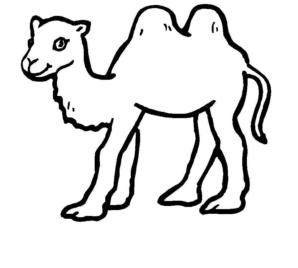 Free printable camel coloring pages for kids